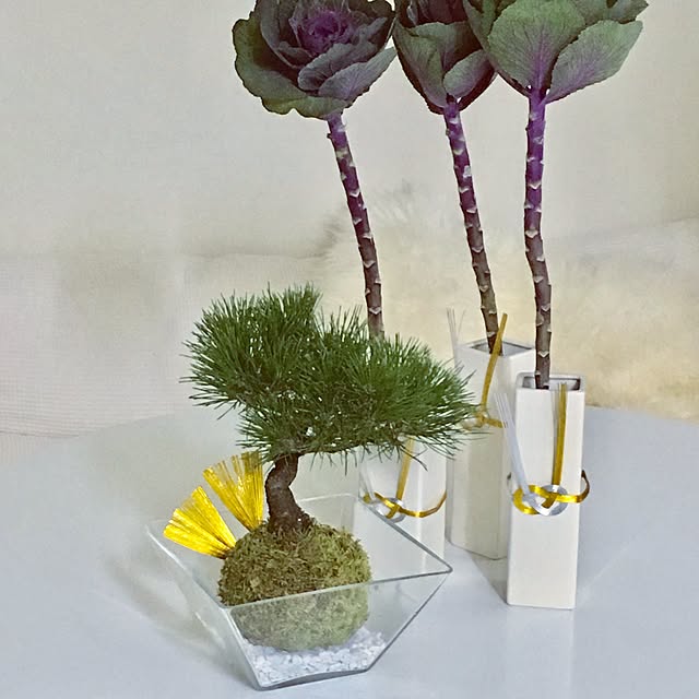 Mopmamaさんの実例写真