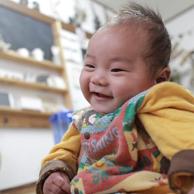 実例写真
