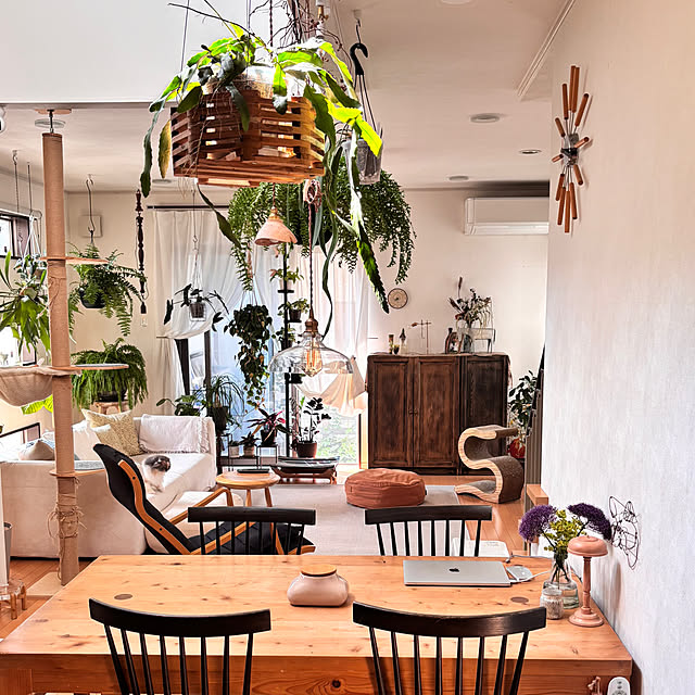 greycatsさんの実例写真