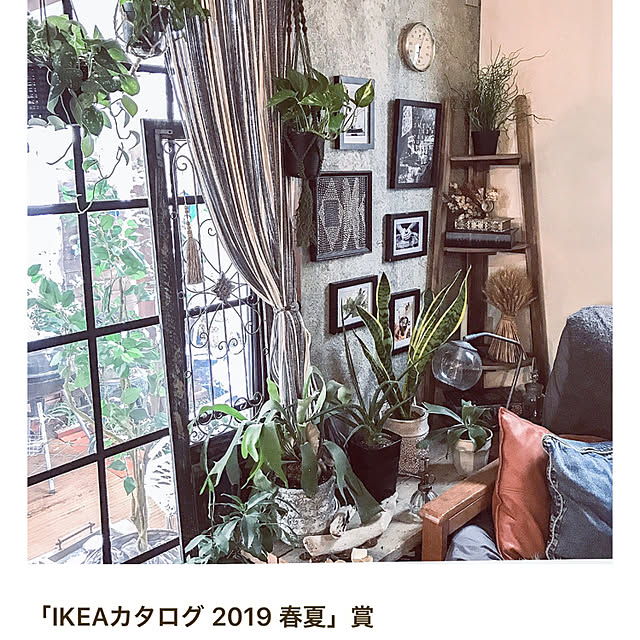 COCOさんの実例写真
