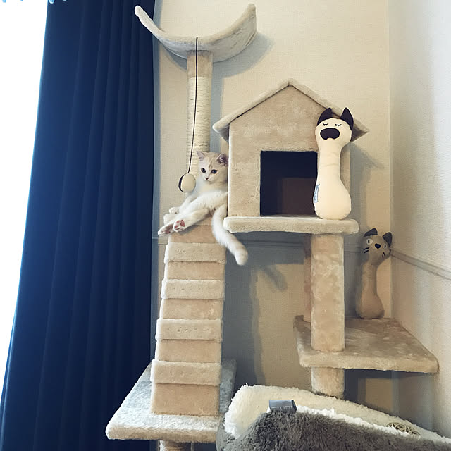 H.Tさんの実例写真