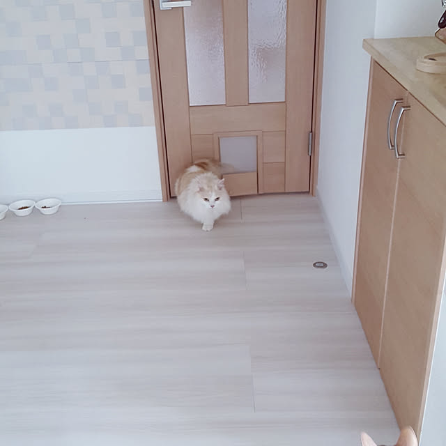 megu.catさんの実例写真