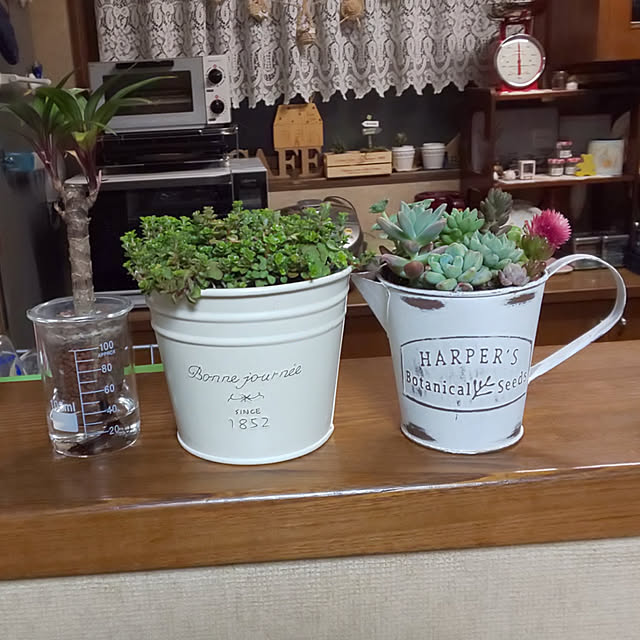 seiko44さんの実例写真