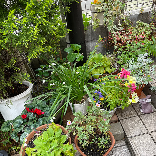 mocoさんの部屋