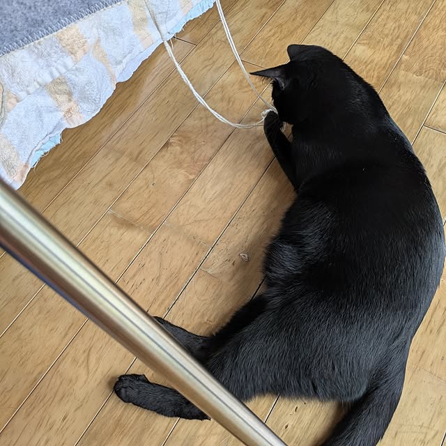 asaさんの部屋