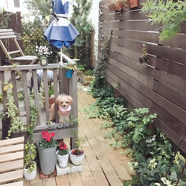 risaさんの実例写真
