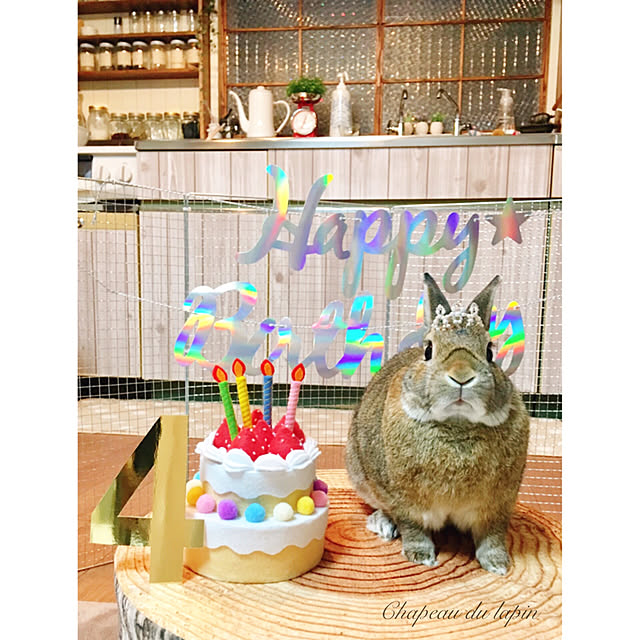 いつもいいねやコメありがとうございます♡/見て頂いてありがとうございます*ˊᵕˋ*/バス/トイレ/うさぎ部/うさぎと暮らす...などのインテリア実例 - 2019-04-02 21:15:55