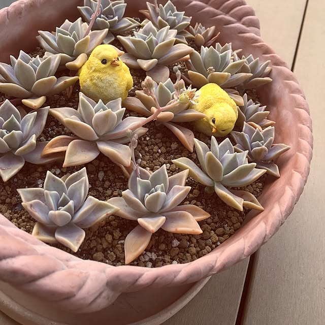 minさんの実例写真