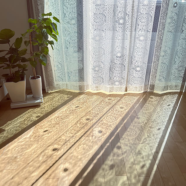 Mikiさんの部屋