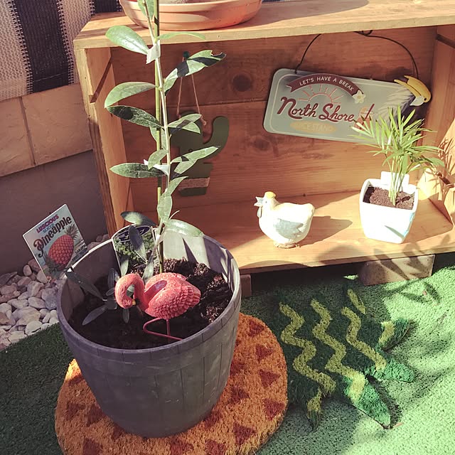 ariceさんの実例写真