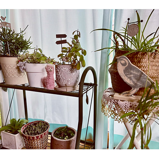 CoCo0617さんの部屋