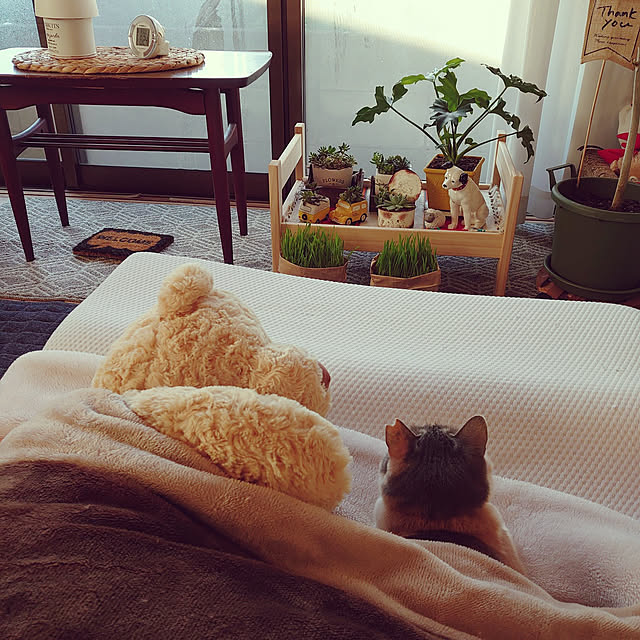 fukuさんの実例写真