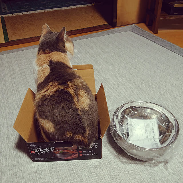 fukuさんの実例写真