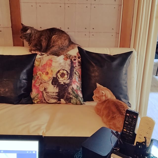runaさんの実例写真