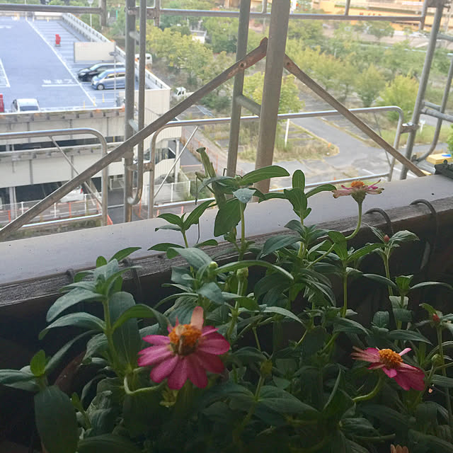 kojiro120513さんの実例写真