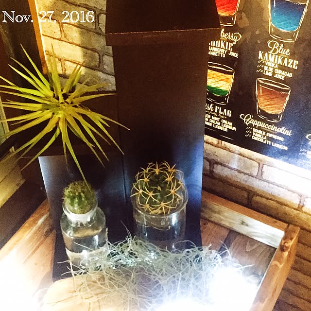 natulove0418さんの実例写真