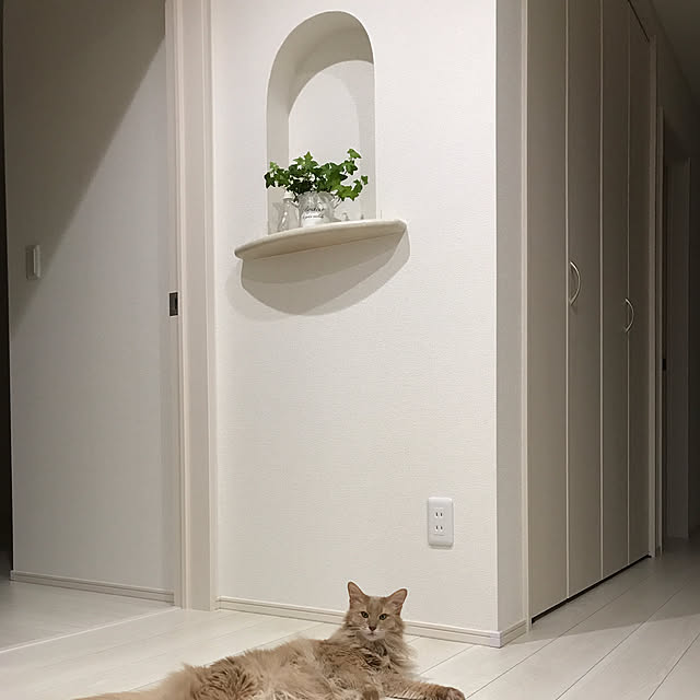 mofucatさんの実例写真
