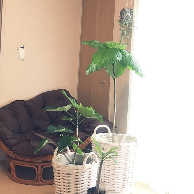 meさんの実例写真