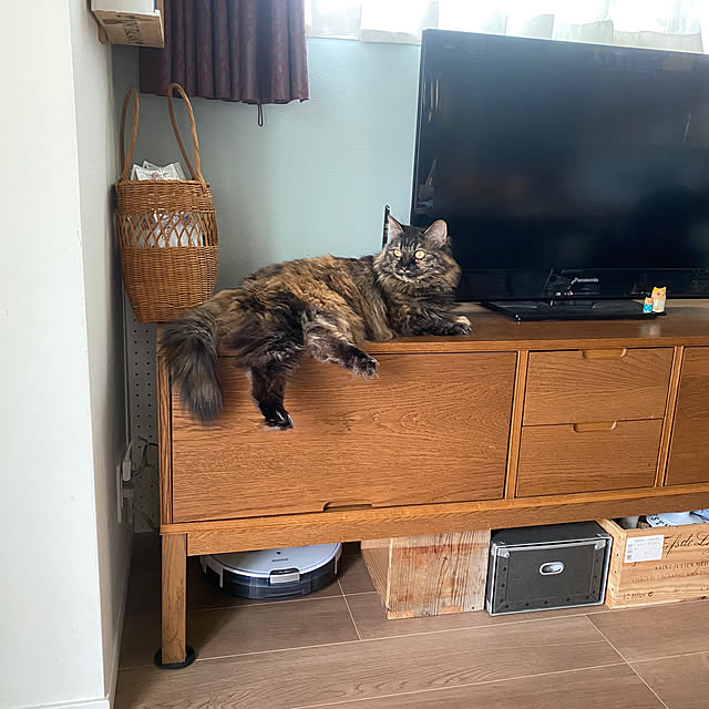mikomaruさんの実例写真