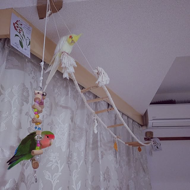 toratanさんの実例写真