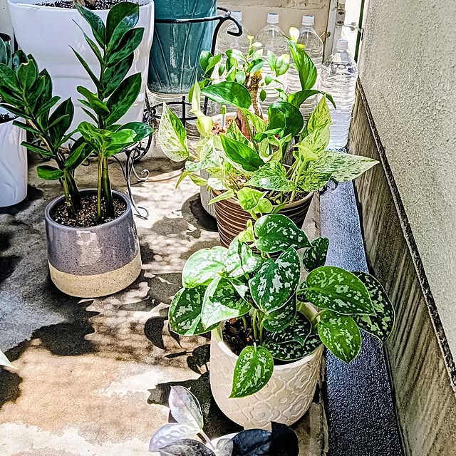hanachanさんの部屋