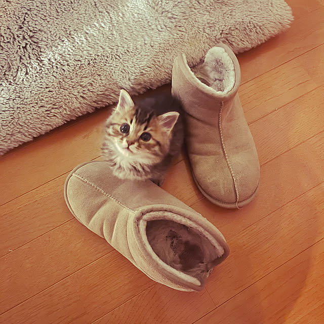 Mさんの部屋