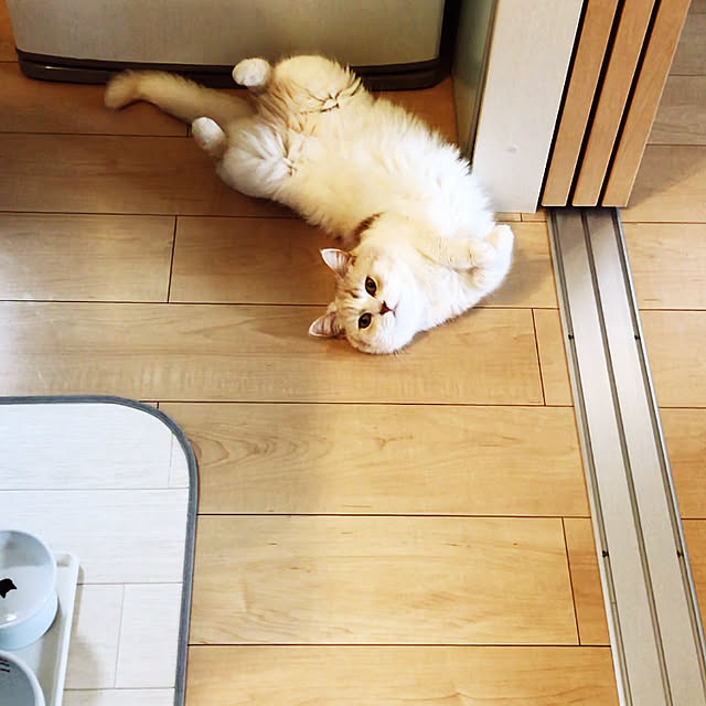 H.Tさんの実例写真