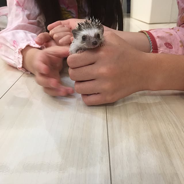 .kiyoさんの実例写真
