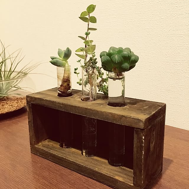 munmunさんの実例写真