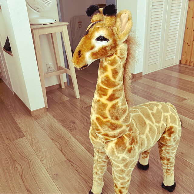 juncoooonさんの実例写真