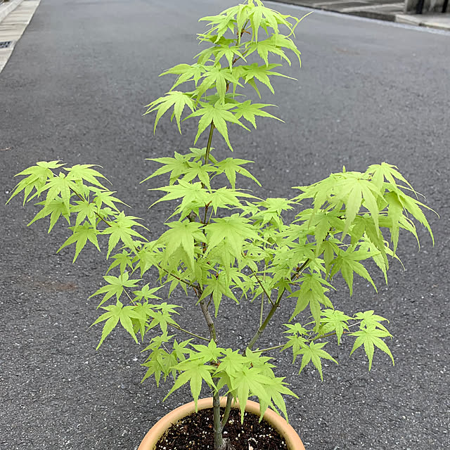 poi.cueさんの実例写真