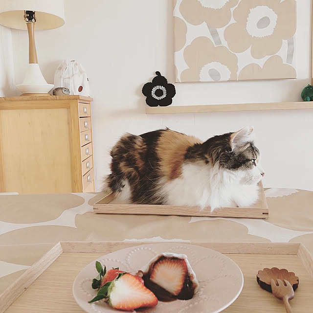 sumosarozaさんの実例写真