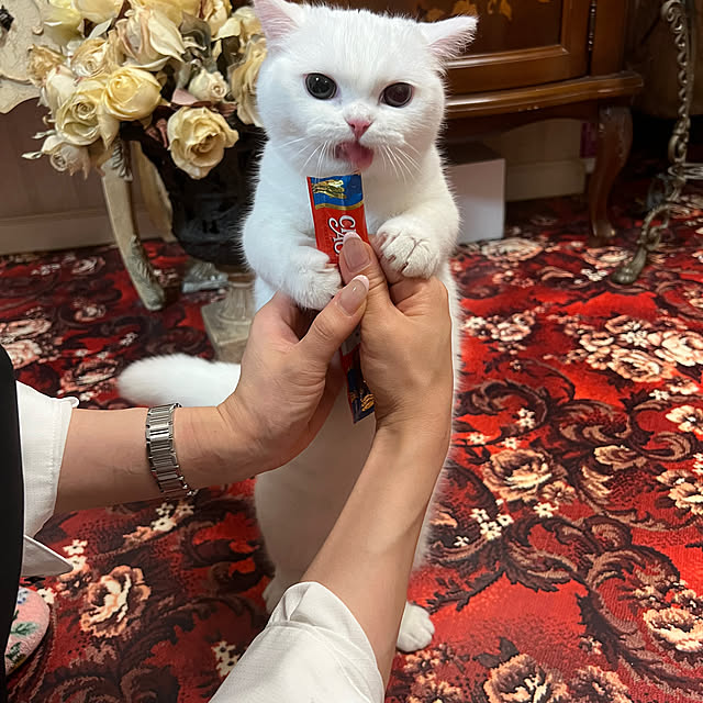 AYUKOさんの実例写真