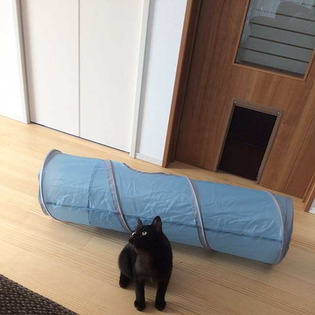 aruさんの実例写真