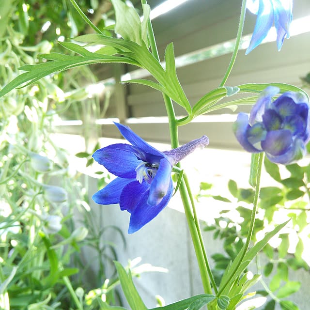 Hinataさんの実例写真