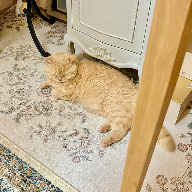 naokoさんの部屋