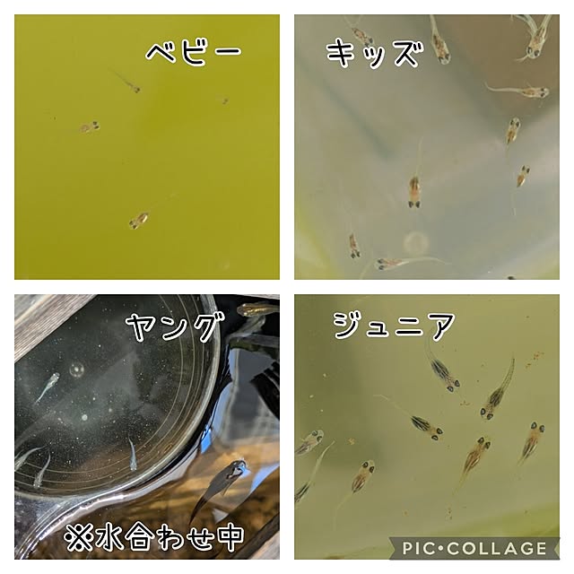 mi-saさんの部屋
