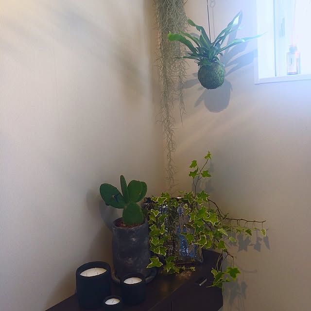 Mさんの実例写真