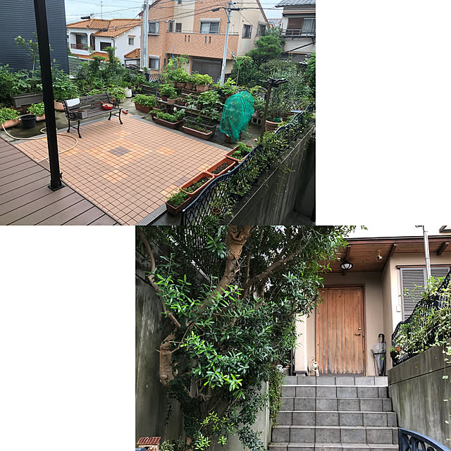 mikalove009さんの実例写真