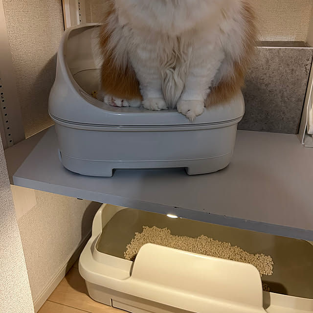 H.Tさんの部屋