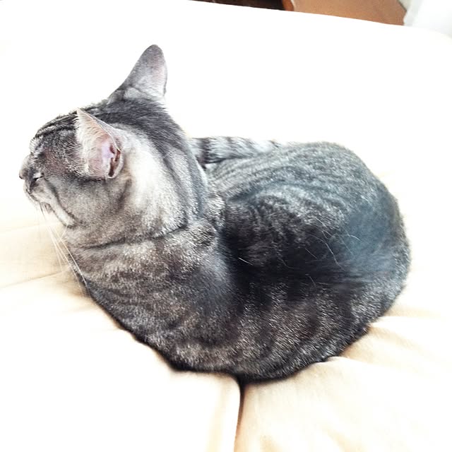 KEYさんの実例写真