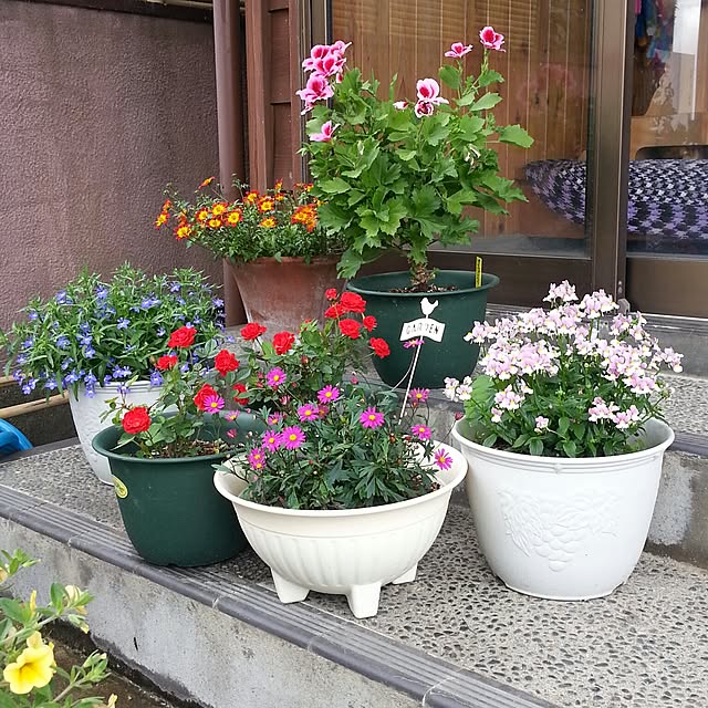 onmenさんの実例写真