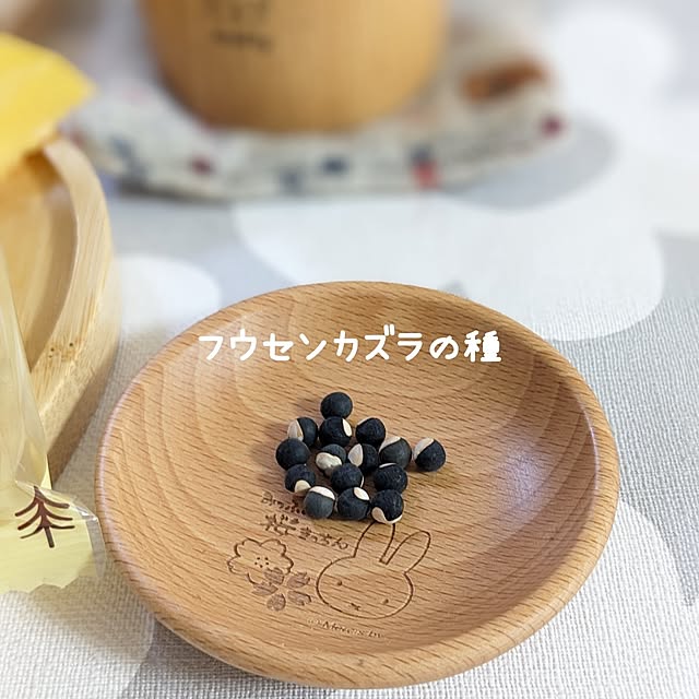 junさんの部屋