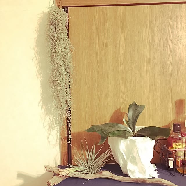 cheesemi22aさんの実例写真
