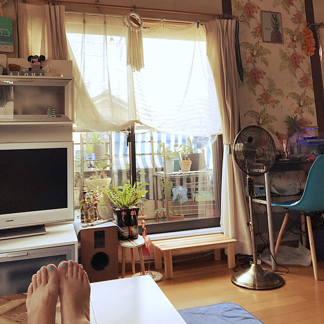 ariceさんの実例写真