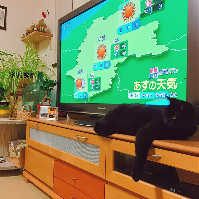 nanaさんの実例写真