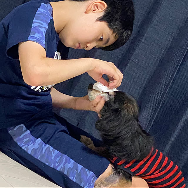 ohanaさんの実例写真