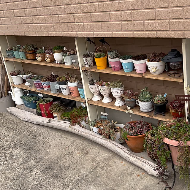 rumiさんの実例写真