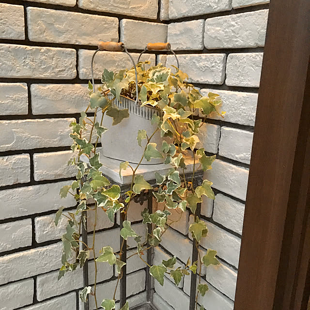 ayataroさんの実例写真