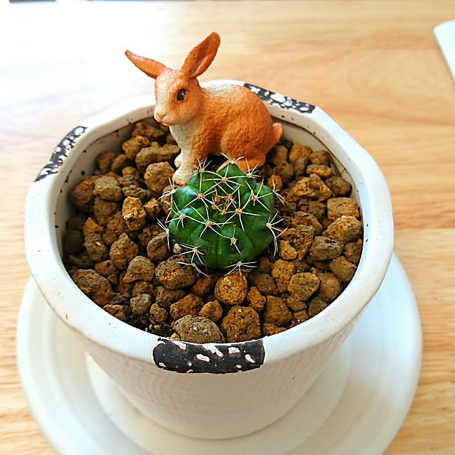 Nanaさんの実例写真